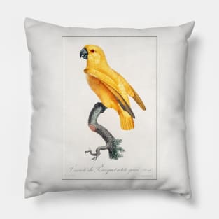 Senegal Parrot (1801—1805) Pillow