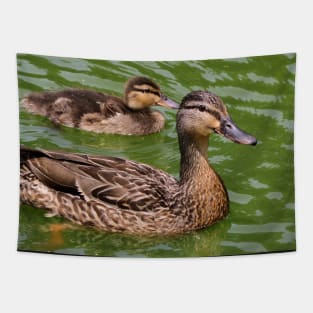 Mother Mallard Duck With Its Baby Tapestry