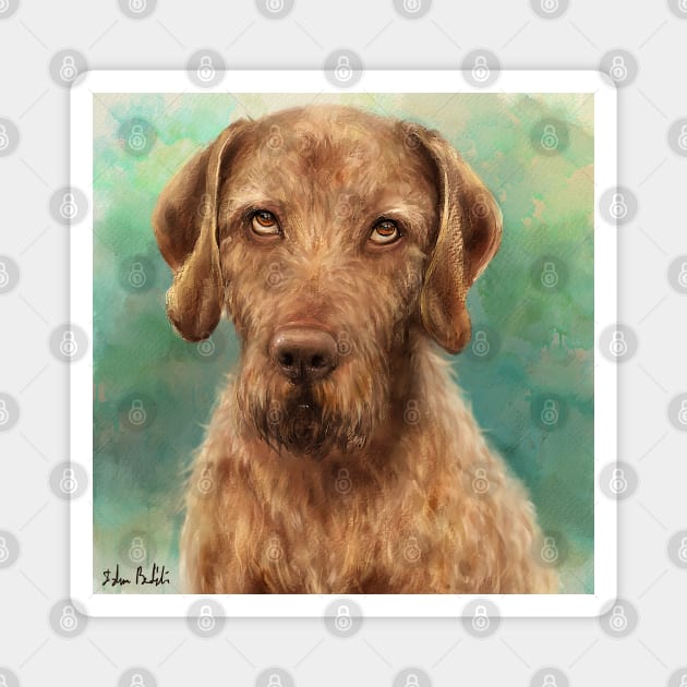 Painting of a Wirehaired Vizsla Rolling its Eyes Magnet by ibadishi