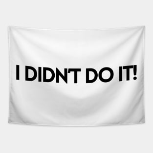 I DIDN'T DO IT! Tapestry