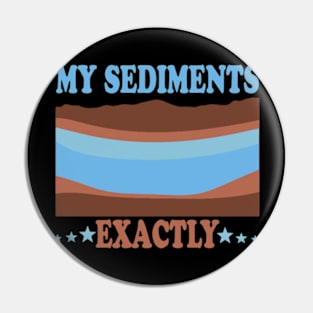 My Sediments Exactly Pin