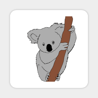 Koala Magnet