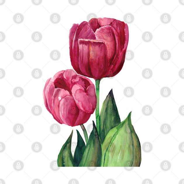 Pink Tulips by artofsuff