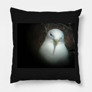 seabird Pillow