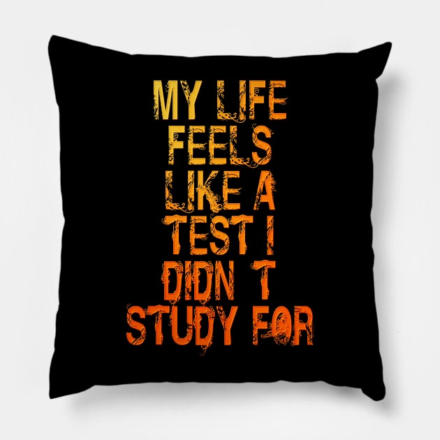 Didn't Study Pillow by the Mad Artist