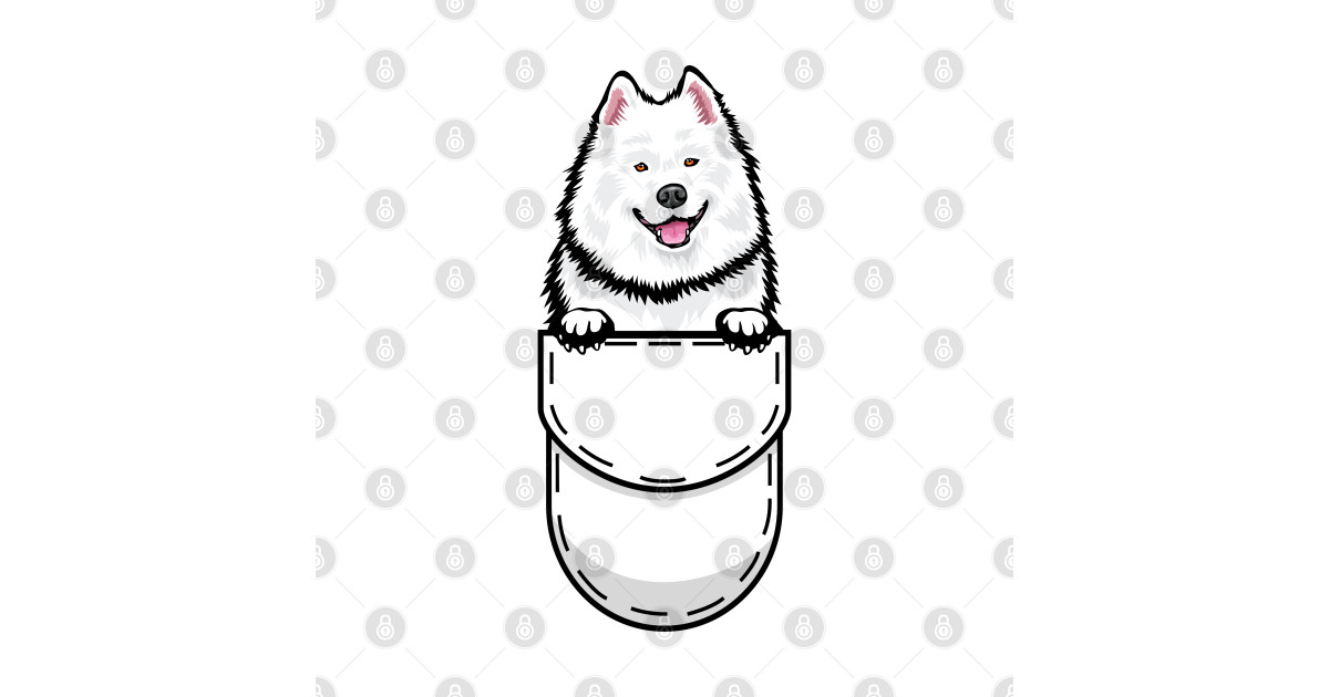 Samoyed Pocket Dog Samoyed Dog TShirt TeePublic