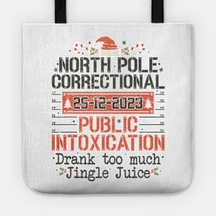 North Pole Correctional Public Intoxication Tote