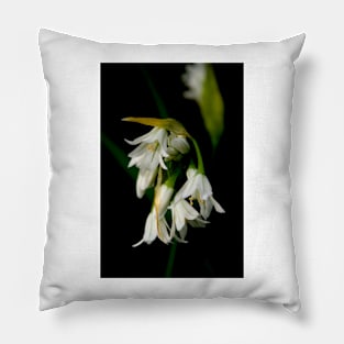 Wild Garlic Pillow