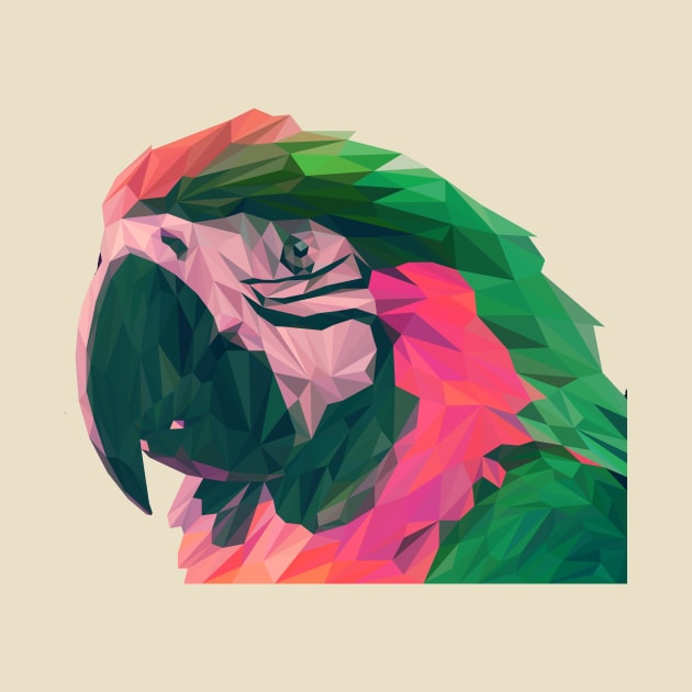 cool parrots - low poly by Cybord Design