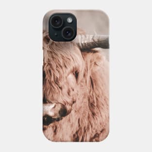 Scottish Highlander Portrait | Scottish Highlander Photography | Scottish Highlander Fine Art Print Phone Case