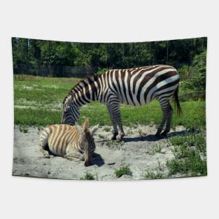 Zebra Mom and Baby Tapestry