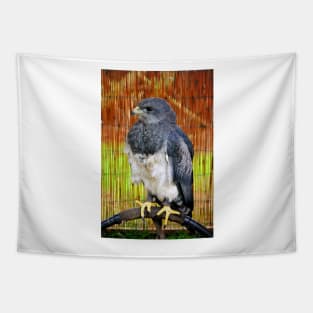 Chilean Eagle Black Chested Buzzard Tapestry