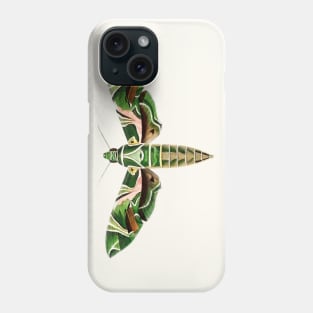 Oleander hawk moth Phone Case