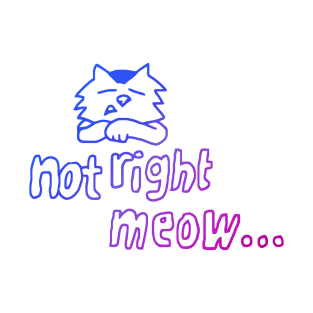 Not Right Meow Kitty T-Shirt