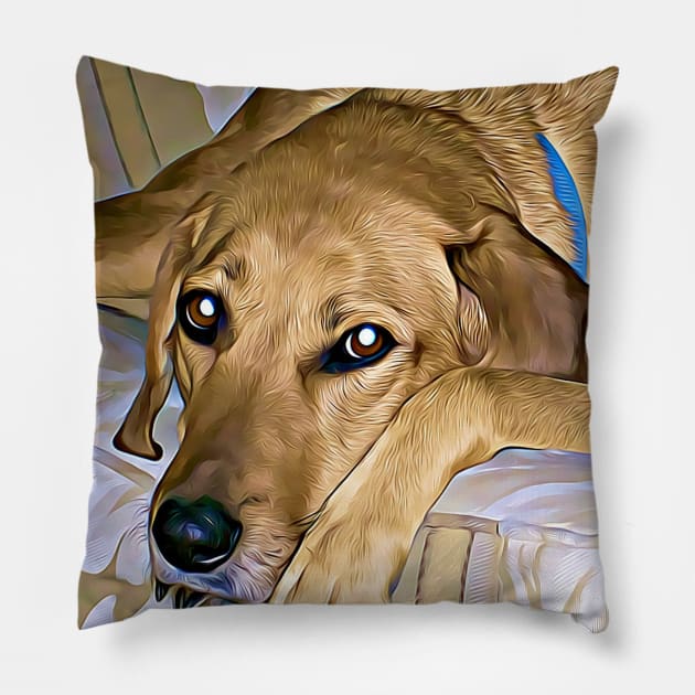 Gypsy On The Sofa Pillow by cameradog