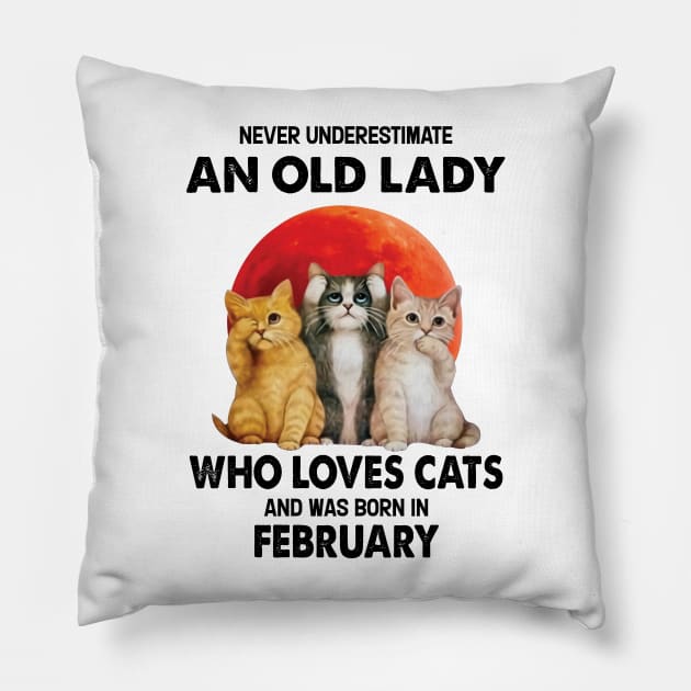 Never Underestimate An Old Lady Who Loves Cats And Was Born In February Pillow by Bunzaji