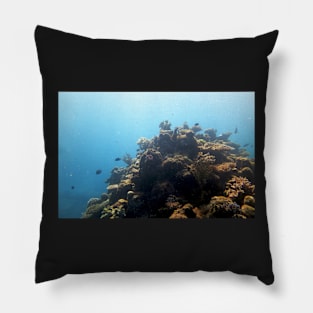 Coral Pillow