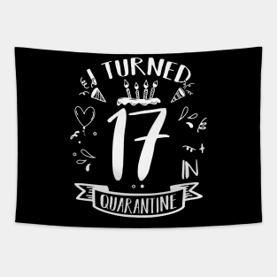 I Turned 17 In Quarantine Tapestry