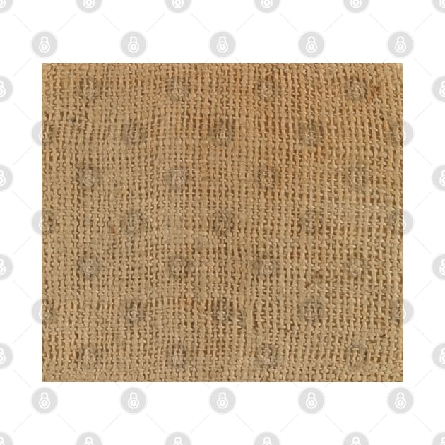 Ancient Egyptian Linen Pattern by emhoteb