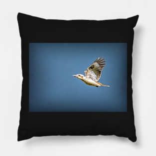 Kookaburra in flight Pillow