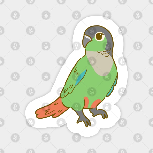 Green Cheek Conure Magnet by casserolestan