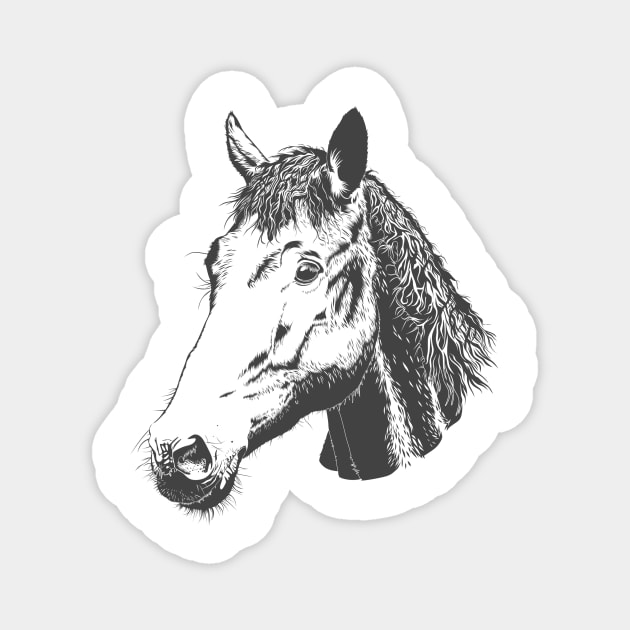 Horse Lovers Magnet by CreativeDesignStore