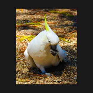 The Left footed cockatoo T-Shirt