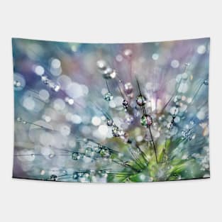 Rainbow Rain Drops Tapestry