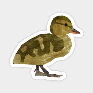 Duckling (Mallard) Magnet