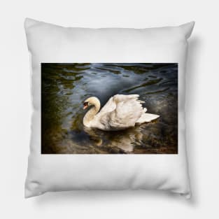 Elegance On Water Pillow