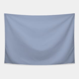 Periwinkle Blue Solid Color Tapestry