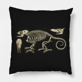 Chameleon Skeleton Anatomy Vintage Science Pillow