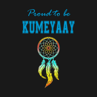 Native American Kumeyaay Dreamcatcher 48 T-Shirt