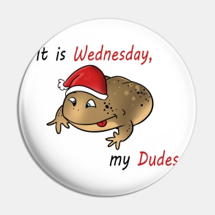 It is Wednesday my Dudes Pin