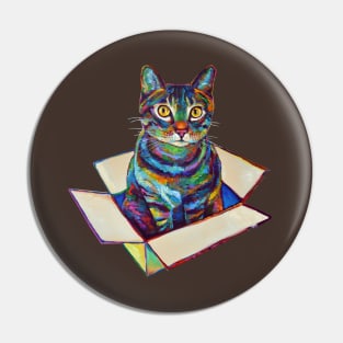 Arwen the Cosmic Cat in a Box by Robert Phelps Pin