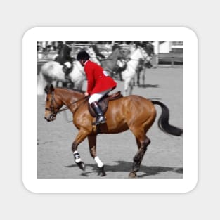 Royal Windsor Horse Show Magnet