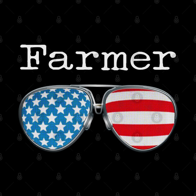 USA PILOT GLASSES FARMER by SAMELVES