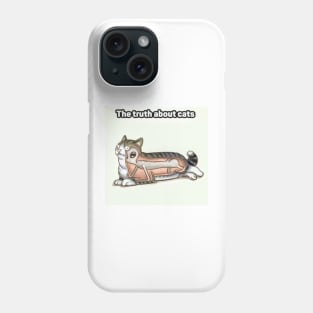 The Truth About Cats Phone Case