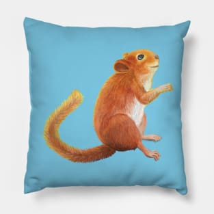 Hazel Dormouse (Muscardinus avellanarius) Looking up to the Sky Pillow