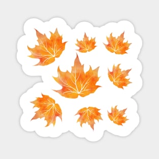 Celebrate Autumn with Fall Maple Leaves in a Blue Background Magnet