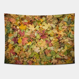 autumn season foliage Tapestry