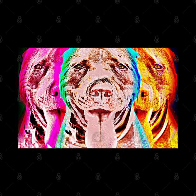 Pit Bull Pop Art by ibadishi