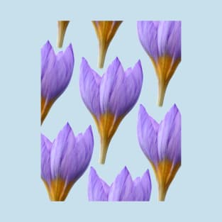 Crocus rujanensis T-Shirt