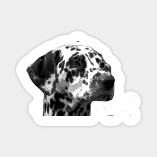 Dalmation Magnet