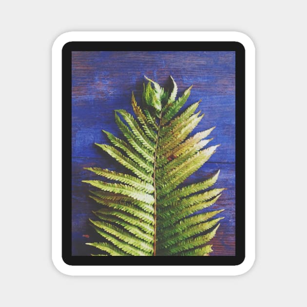 Woodland Fern Magnet by oliviastclaire