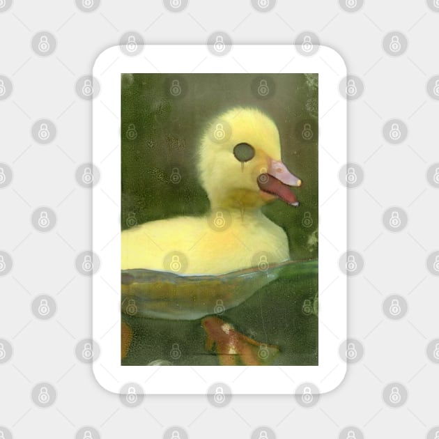 Nightmare Duck Magnet by DaddyBarbecue