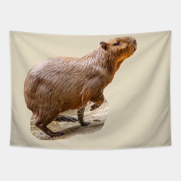 Out for a run Capybara Tapestry by dalyndigaital2@gmail.com