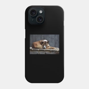 Dingo Phone Case