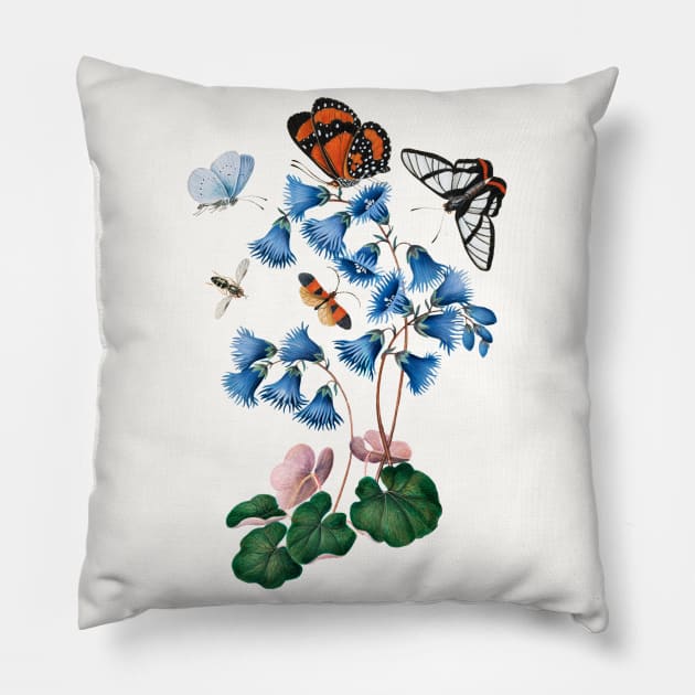 Soldanella, Amazon angel, net-winged beetle and shells Pillow by WAITE-SMITH VINTAGE ART