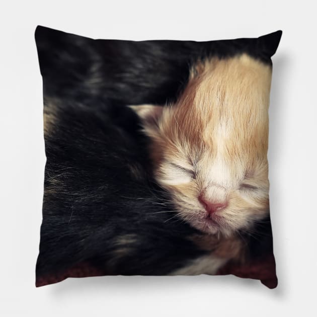 Cuteness!! Pillow by micklyn